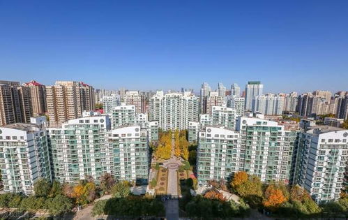 又一大佬折戟房地產(chǎn) 開(kāi)發(fā)樓盤爛尾多年，被限制高消費(fèi)19次